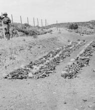 Remains of New Zealand soldiers awaiting burial in 1919. Source: Imperial War Museum