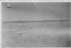 George Jensen's grave is second from left, front row