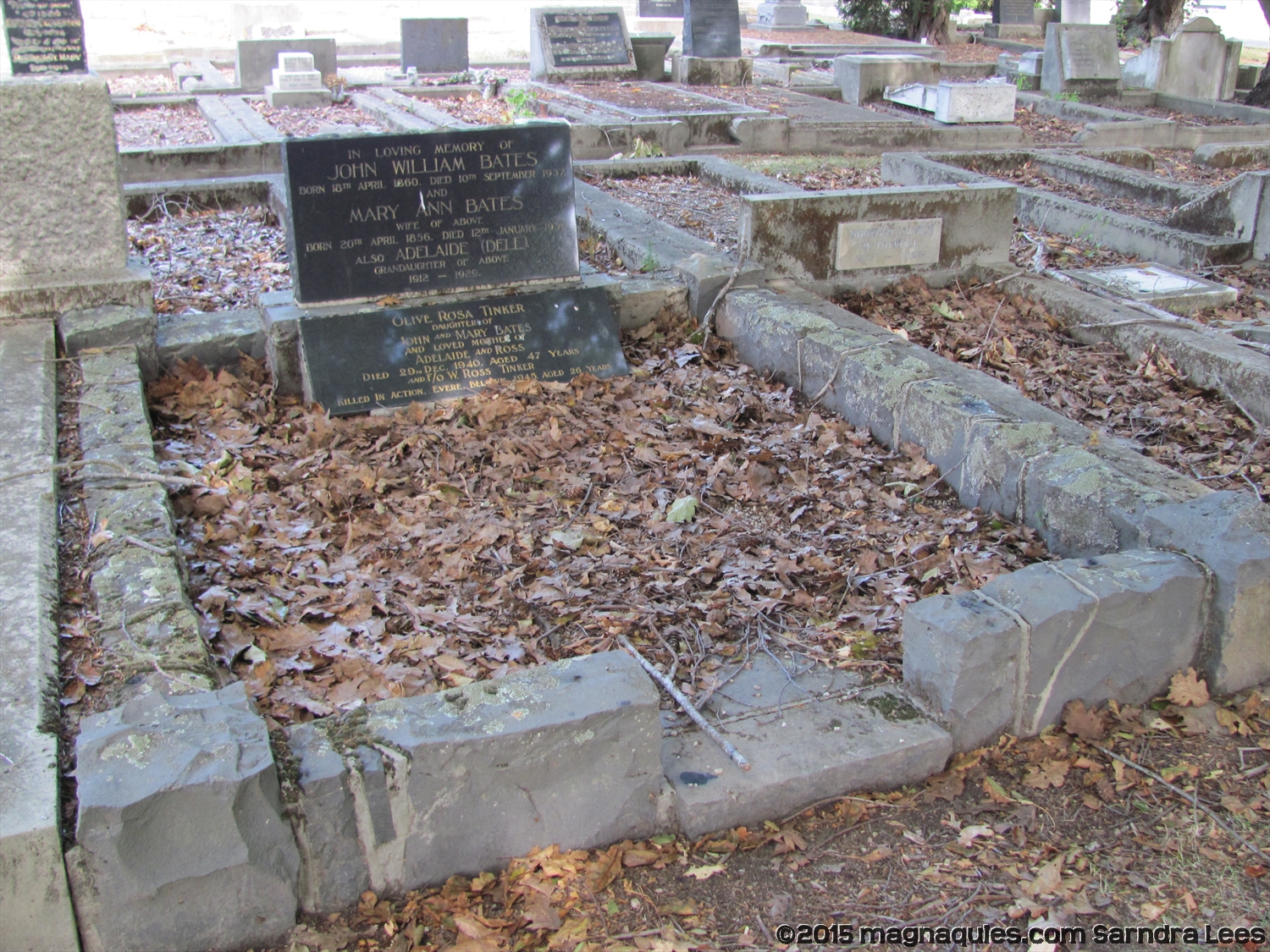 Family grave plot memorial TINKER NZ422078